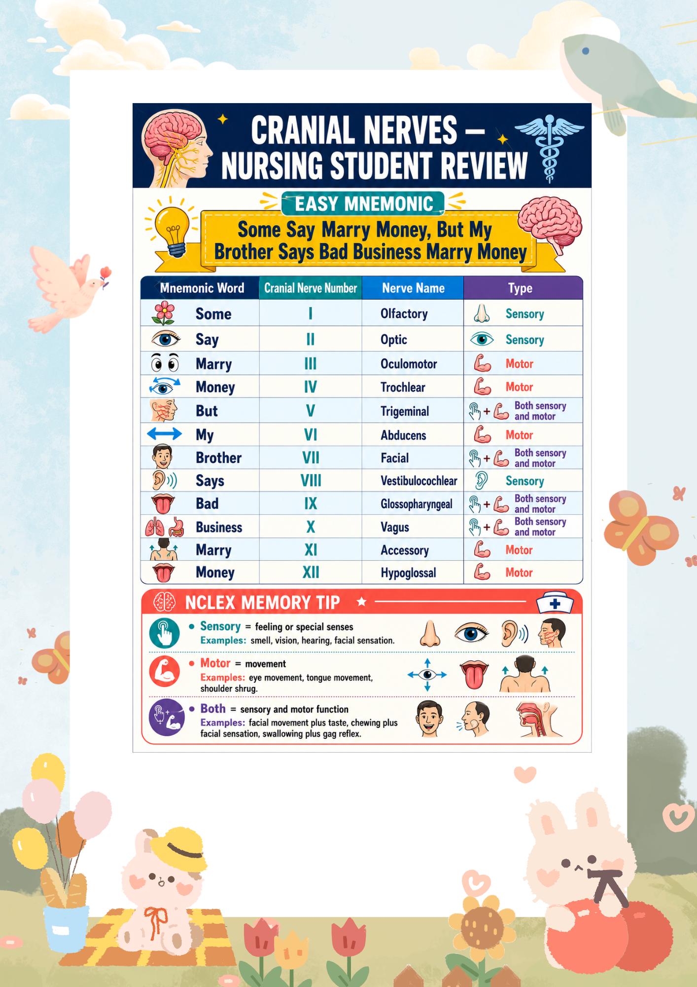 Cranial Nerves, NCLEX Practice Questions, Nursing Student Study Guide, Assessment, and Rationales., guide preview 3