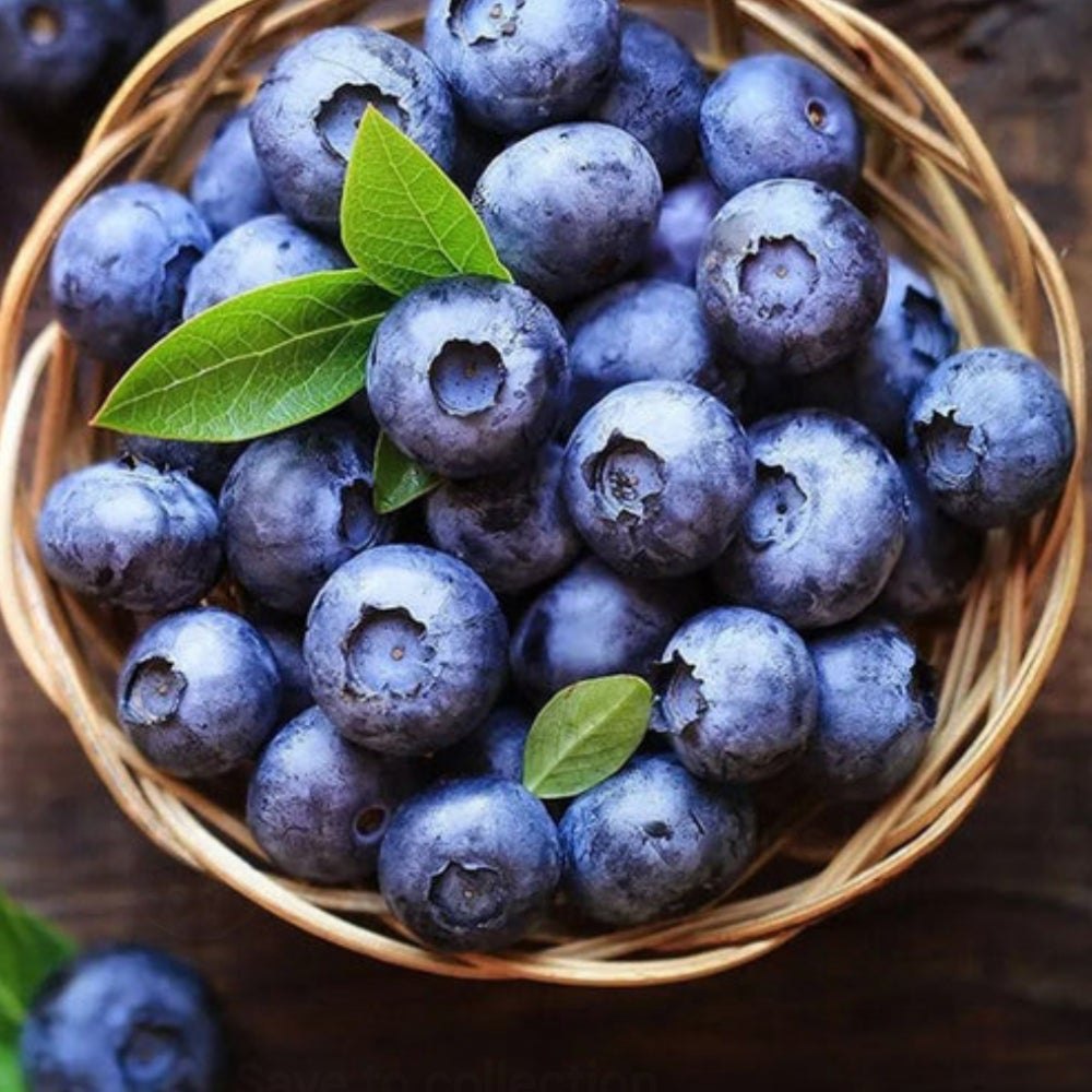 Blueberry product view 2