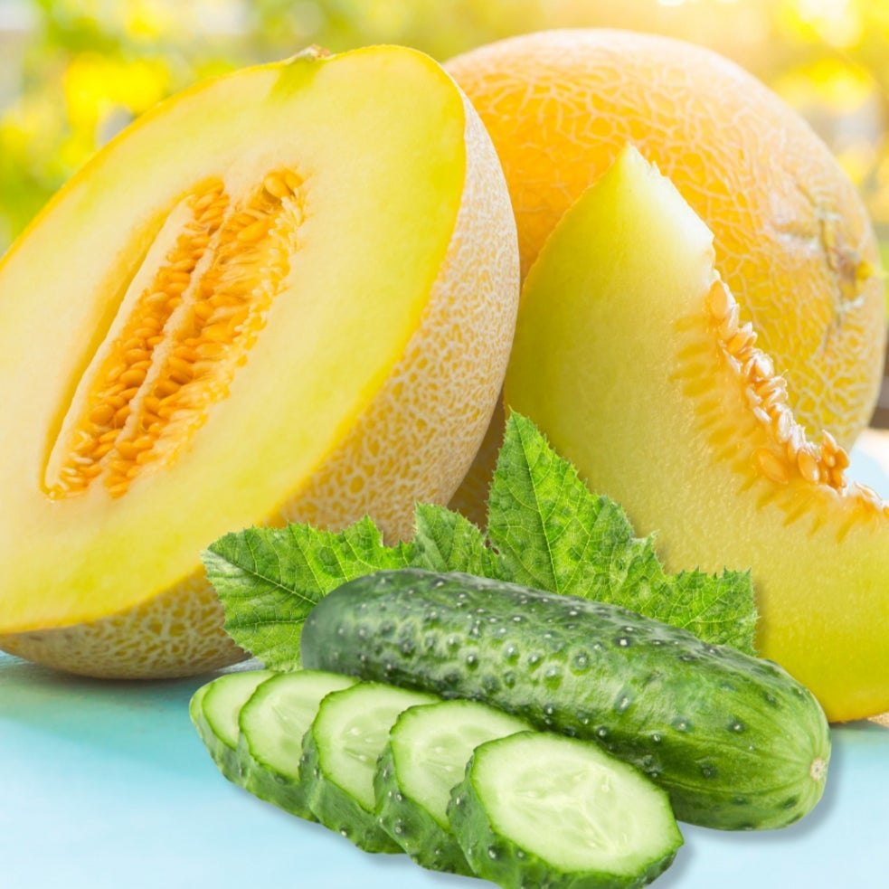 Cucumber Melon product view 2