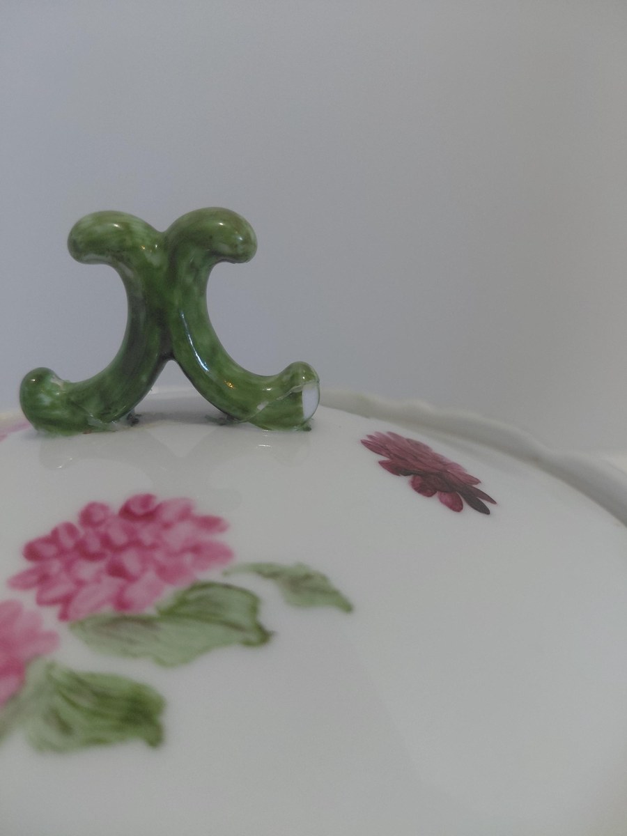 19th Century Floral porcelain Lidded Display bowl, view 19