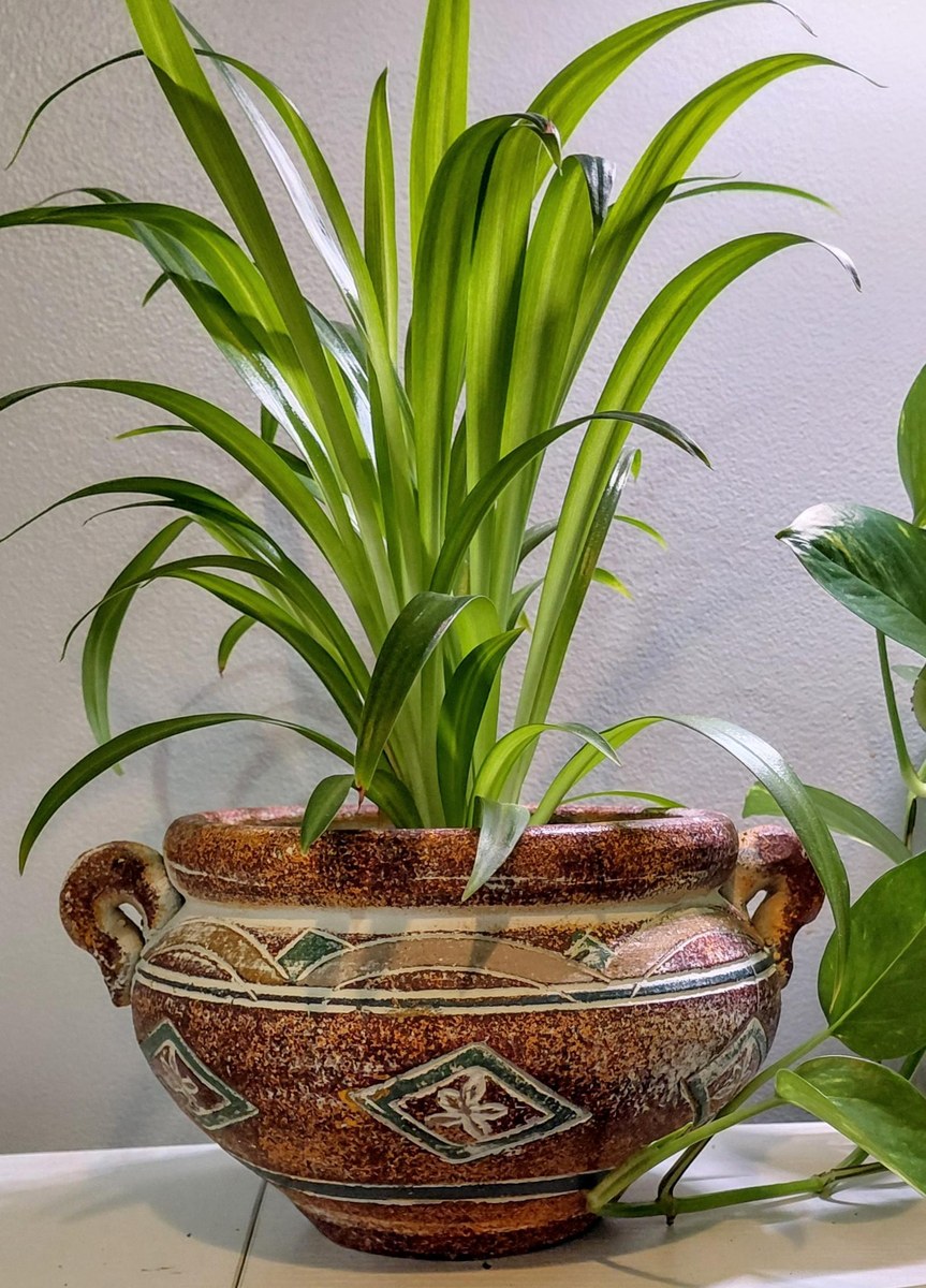 Studio Pottery Amphora Planter Vase Rustic Southwestern Ceramic Vessel, view 11