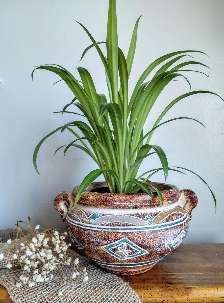 Studio Pottery Amphora Planter Vase Rustic Southwestern Ceramic Vessel, view 14