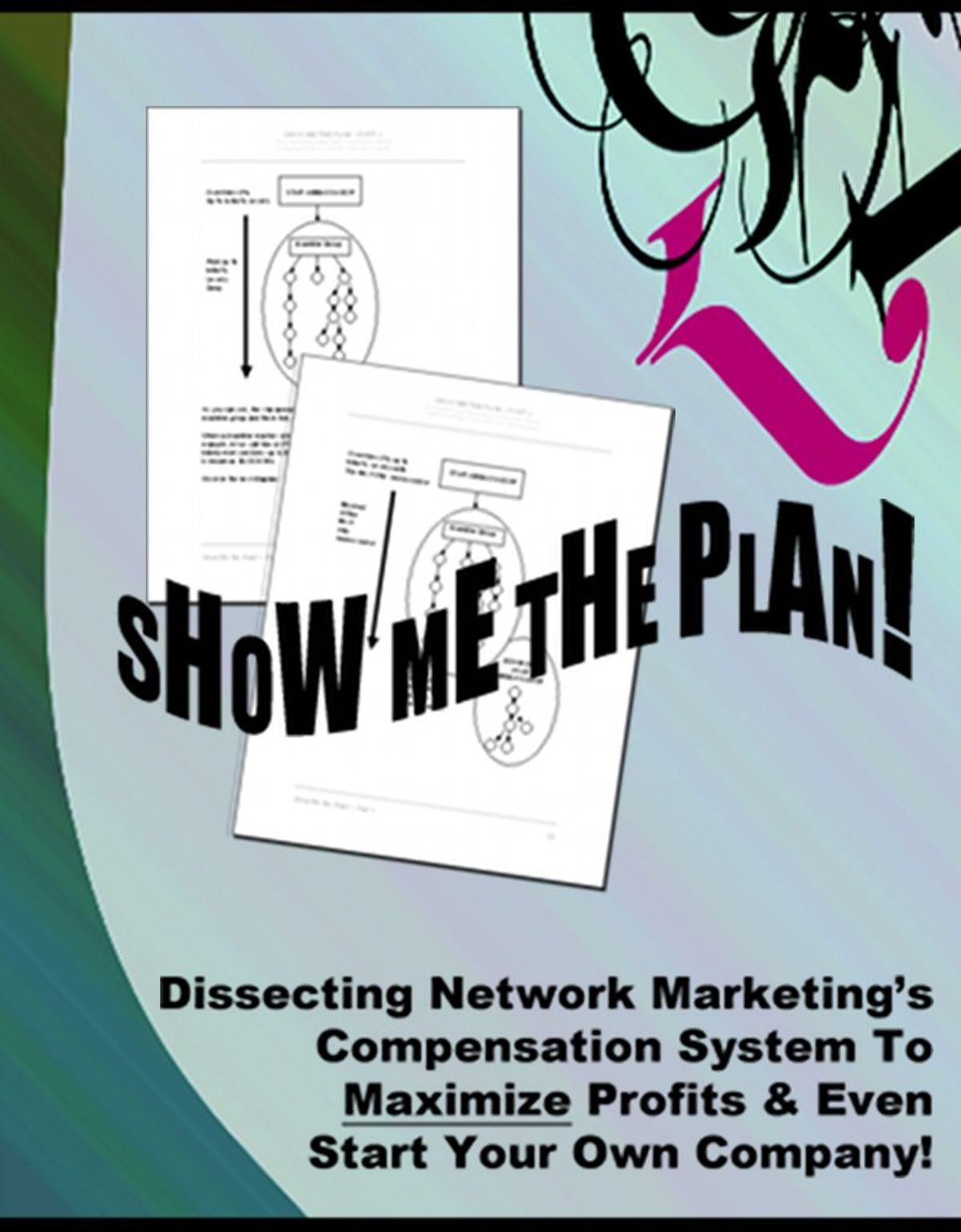 Cover for Show Me The Plan ? Part 2