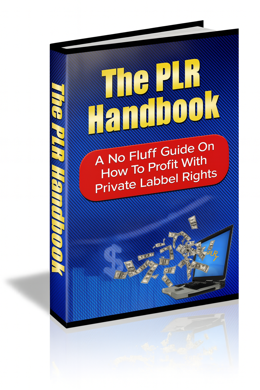 Cover for The PLR Handbook