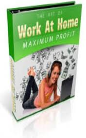 Cover for Work At Home Maximum Profits