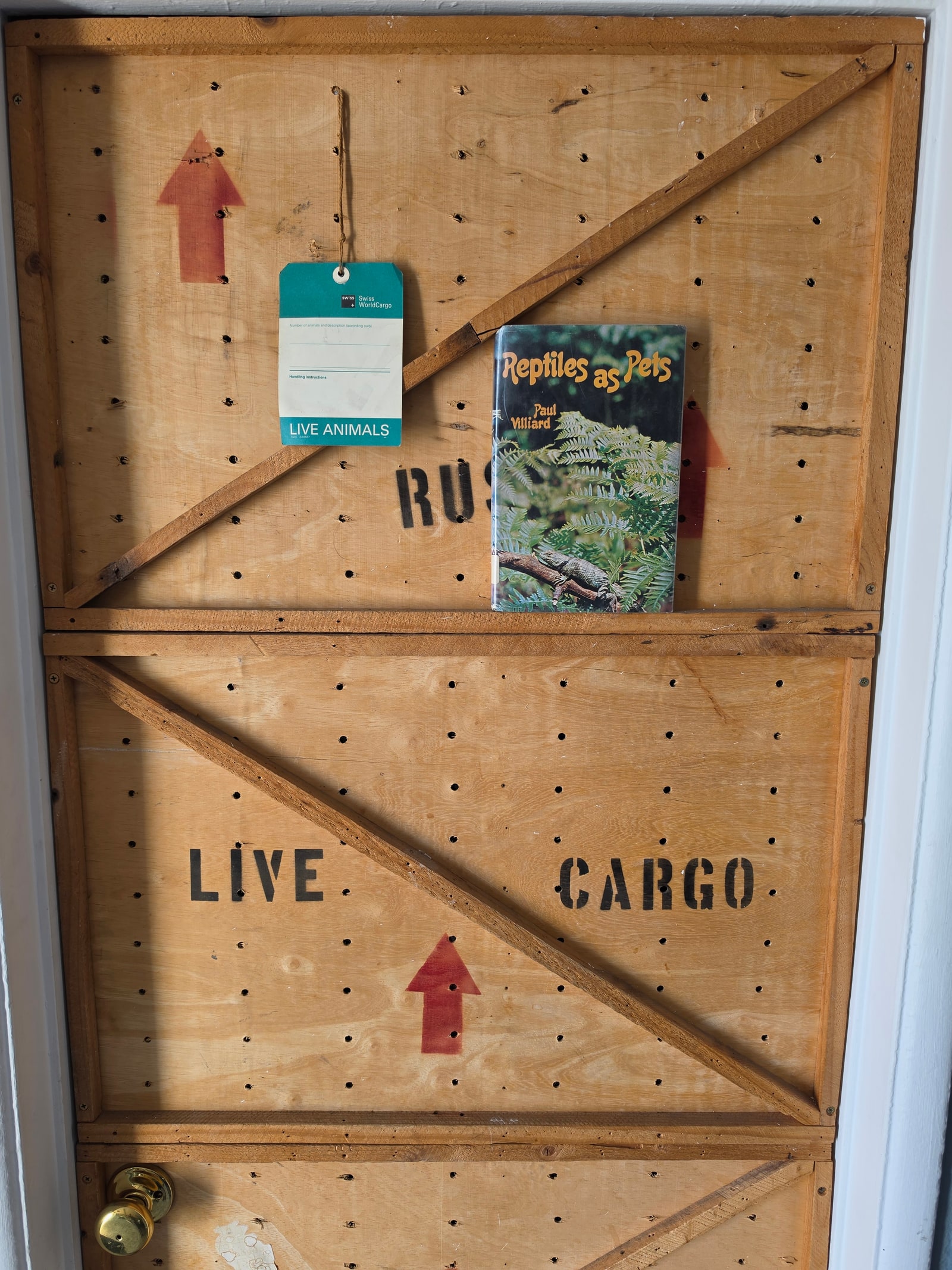 Ty Dillon’s first reptile book, Reptiles as Pets, displayed on a live animal cargo crate