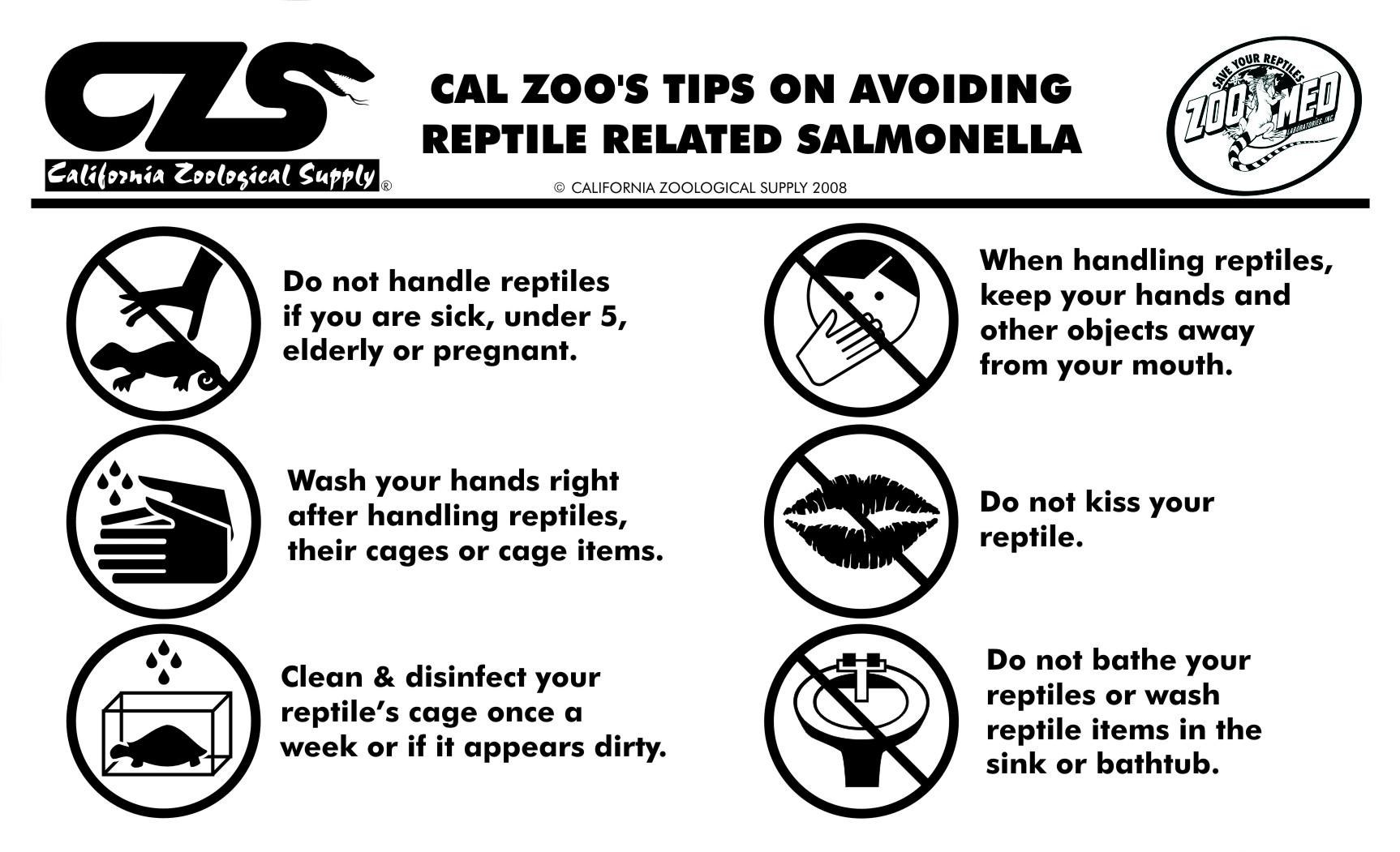 Cal Zoo reptile handling and salmonella tips