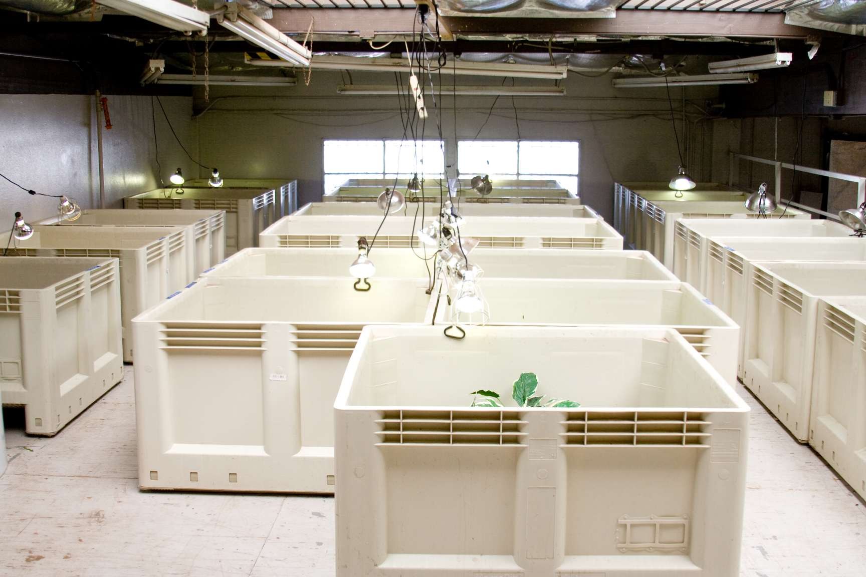 California Zoological Supply facility, photo 6