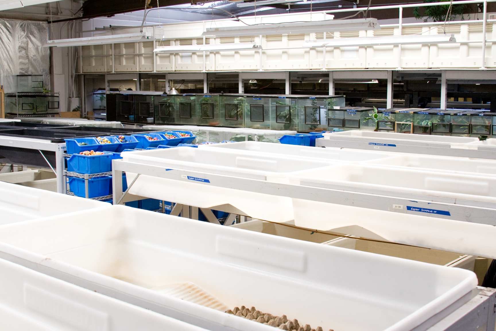 California Zoological Supply facility, photo 8