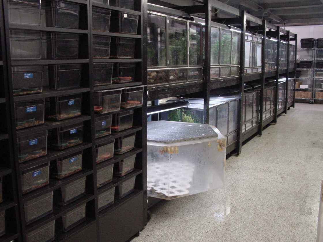 California Zoological Supply facility, photo 11