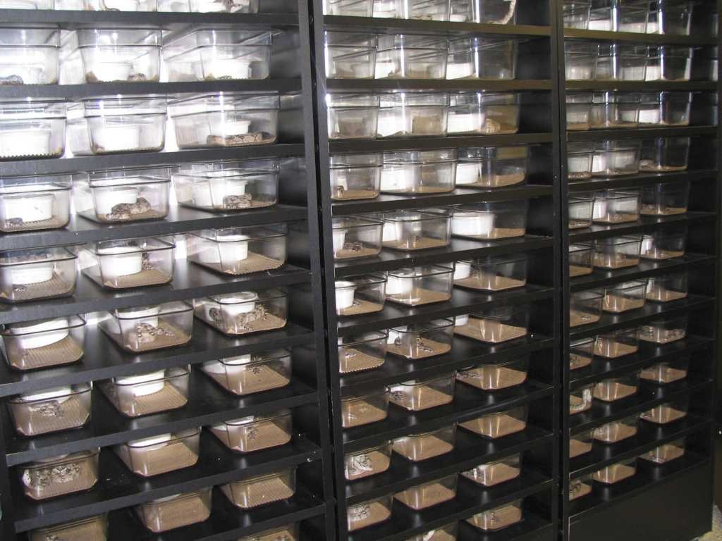 California Zoological Supply facility, photo 12