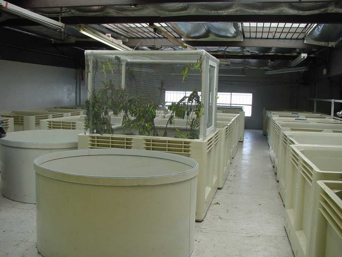 California Zoological Supply facility, photo 18