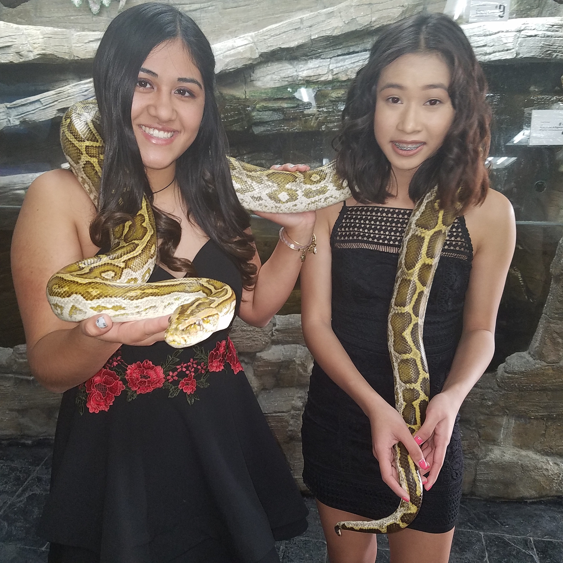 Cal Zoo photo, November 16, 2019, Cal Zoo photo archive