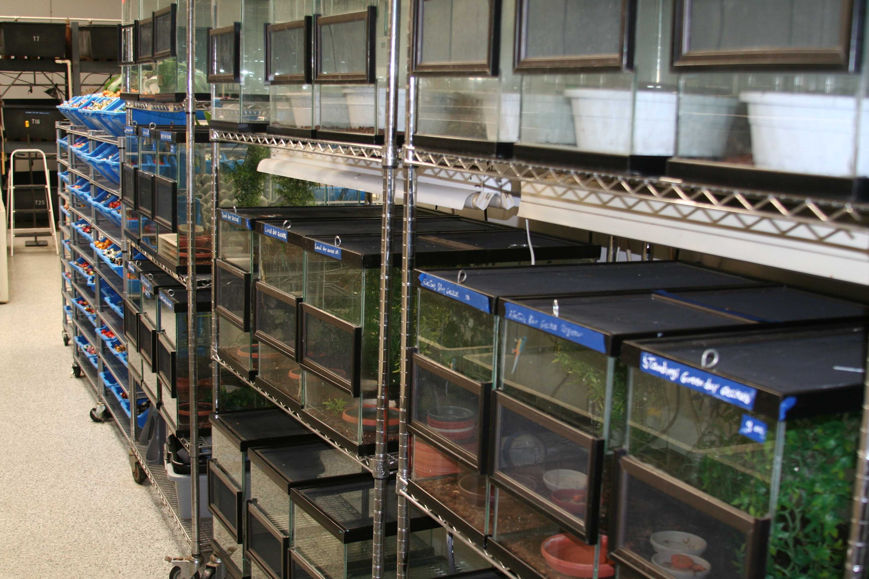 California Zoological Supply facility