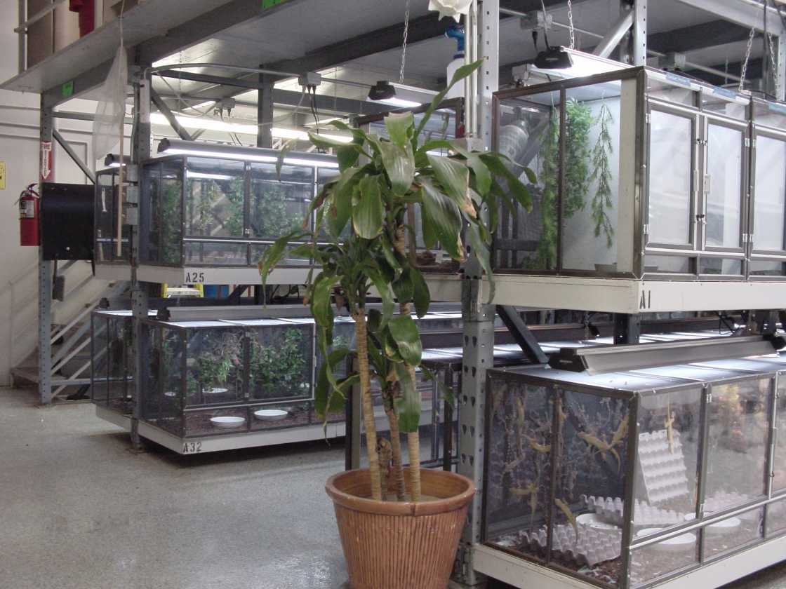 California Zoological Supply facility