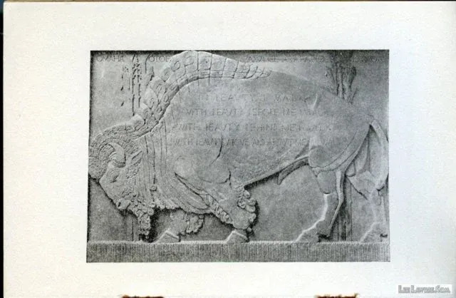 Detail, page 7, Primary sources