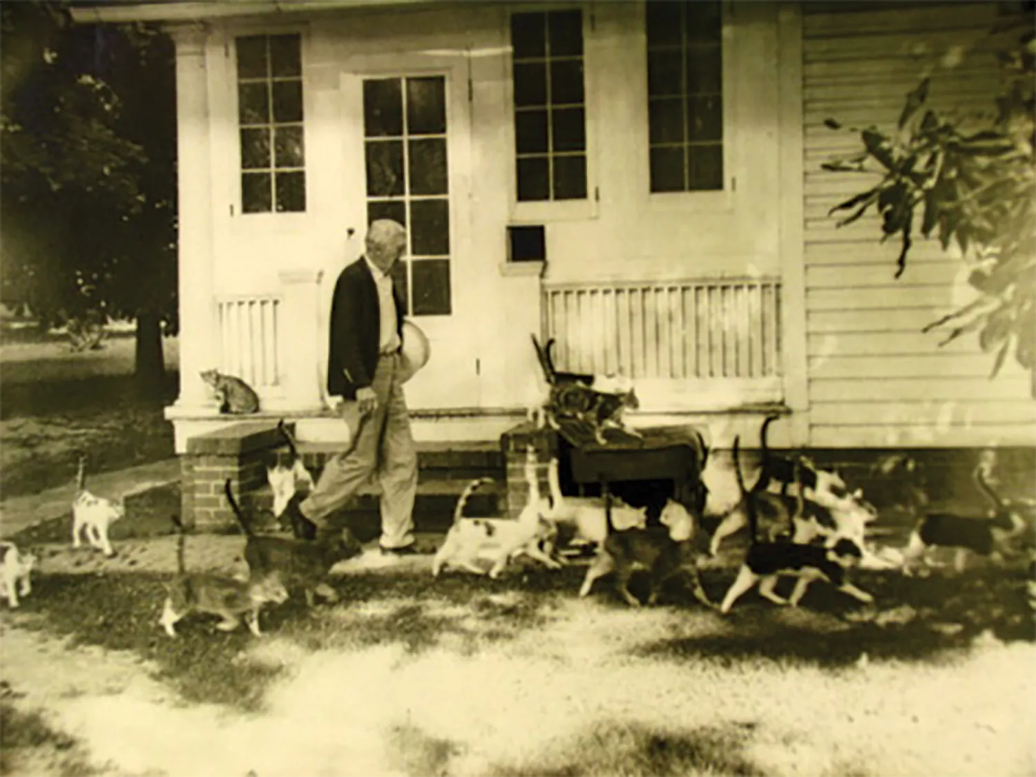 Lee Lawrie at home with cats, Portraits, records & studio life