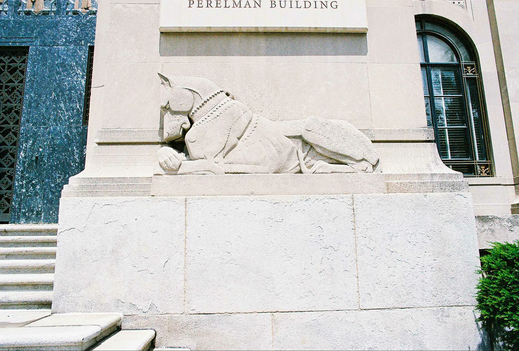 Dog detail, Philadelphia