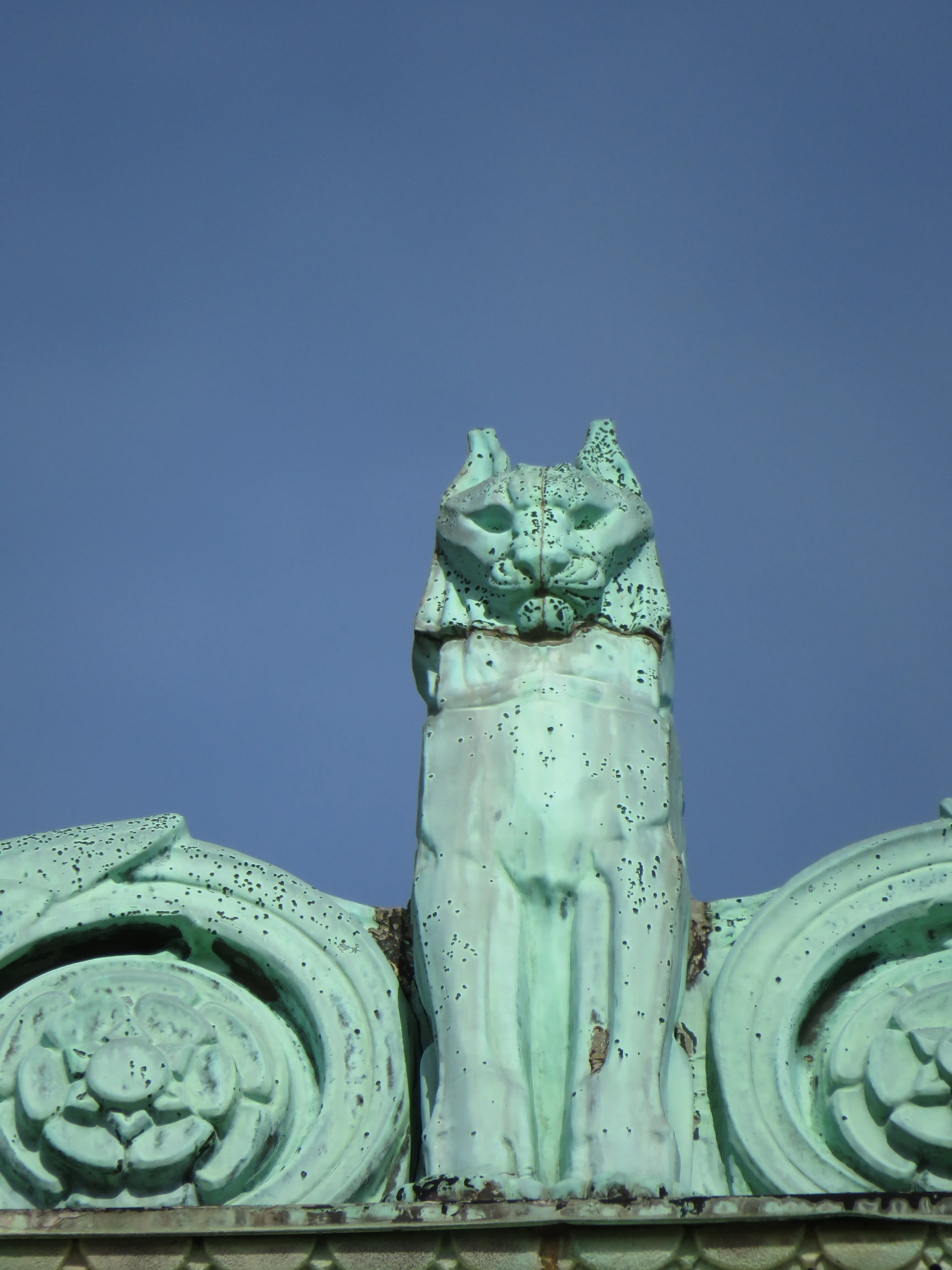 Lynx detail, National Academy of Sciences Building · Washington, D.C.