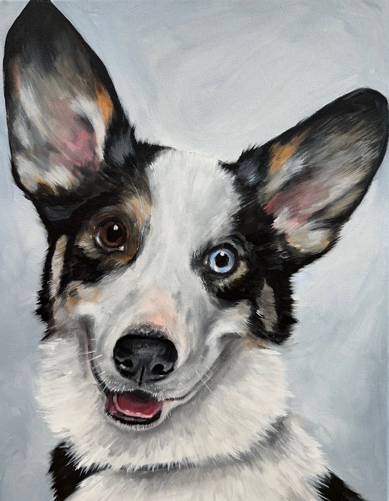 Corgi portrait