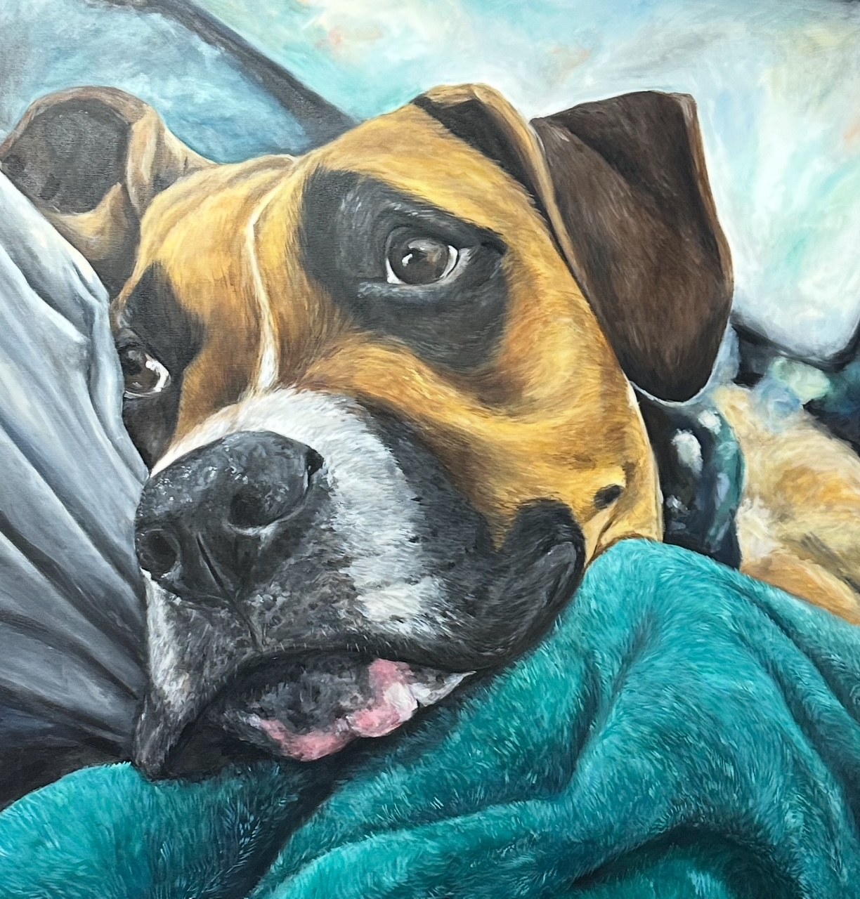 Dog portrait on a teal blanket with clear face detail
