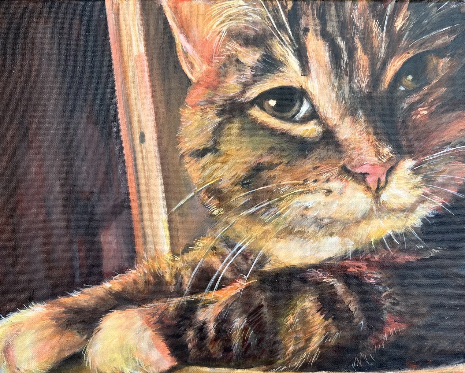 Colorful cat portrait with clear facial details