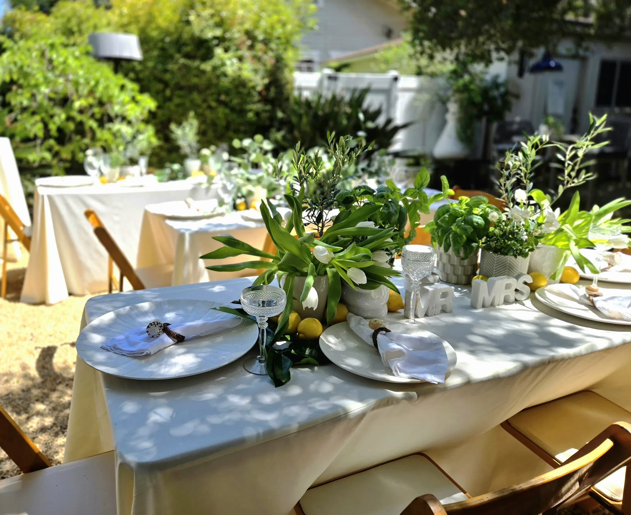 Detailed place setting at a garden dinner table
