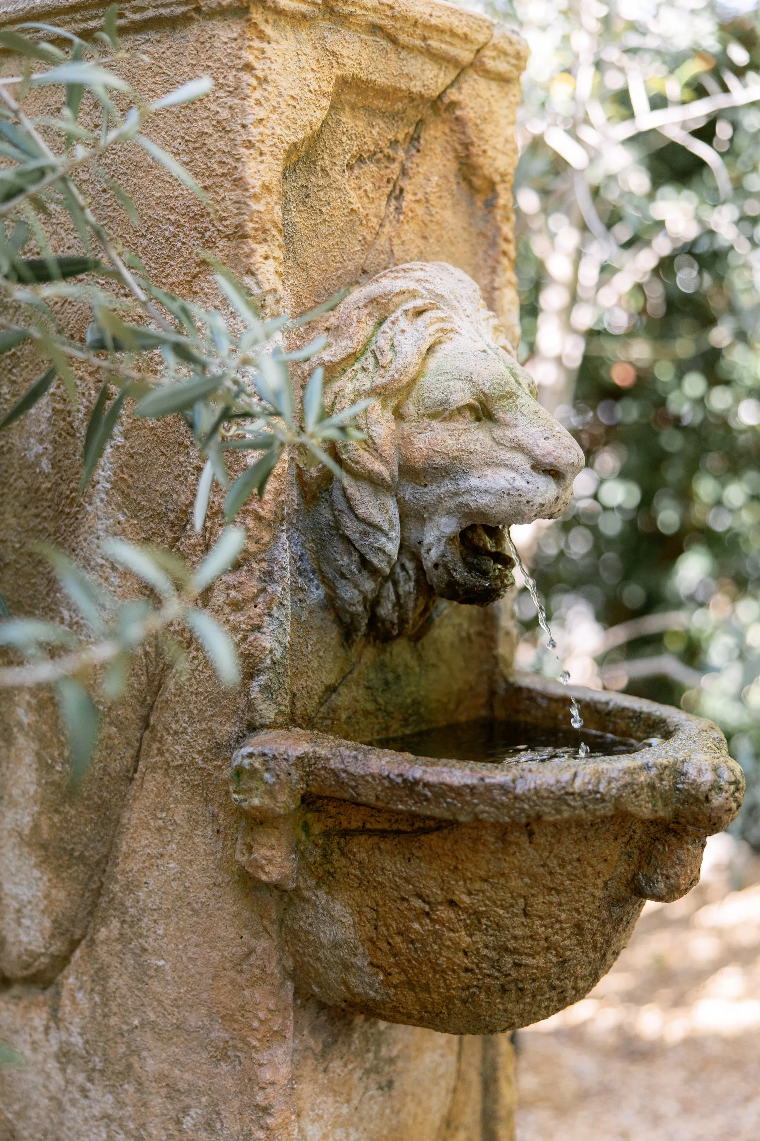 Stone lion fountain in the garden