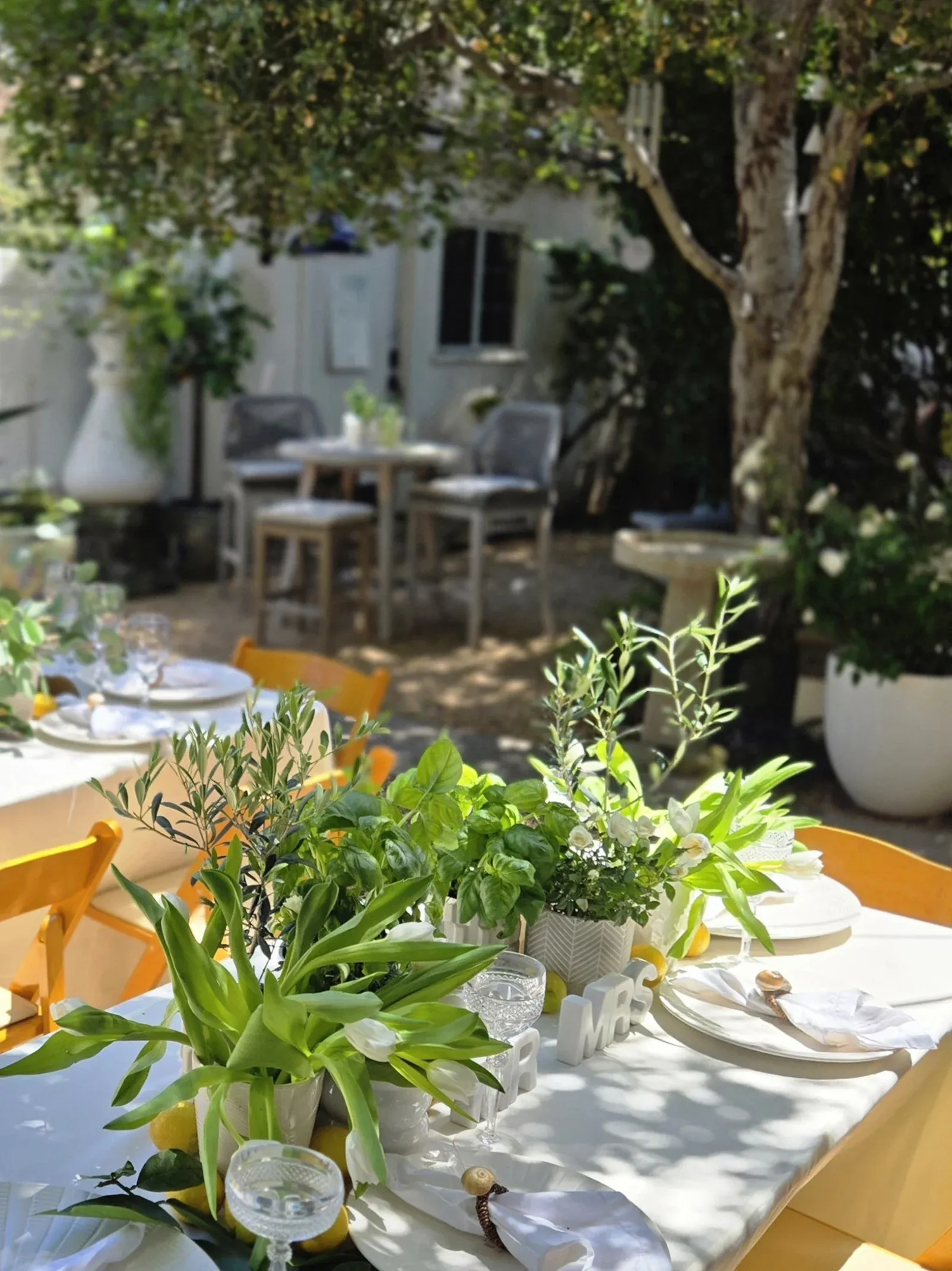 Garden table set under mature oak trees
