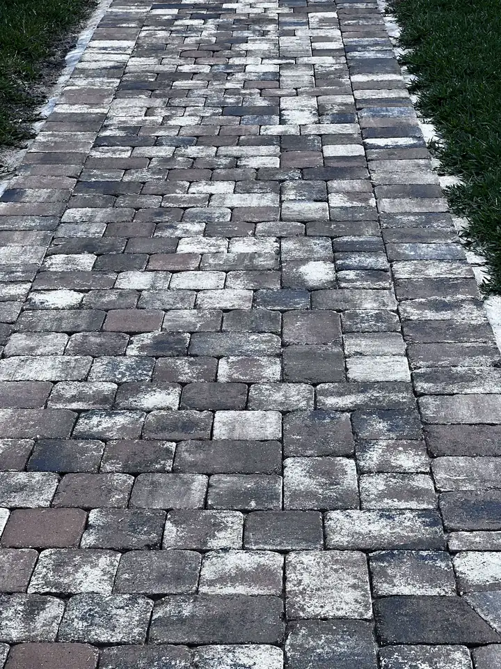 White, chalky efflorescence haze blotching a multicolor paver walkway in Fort Myers, FL