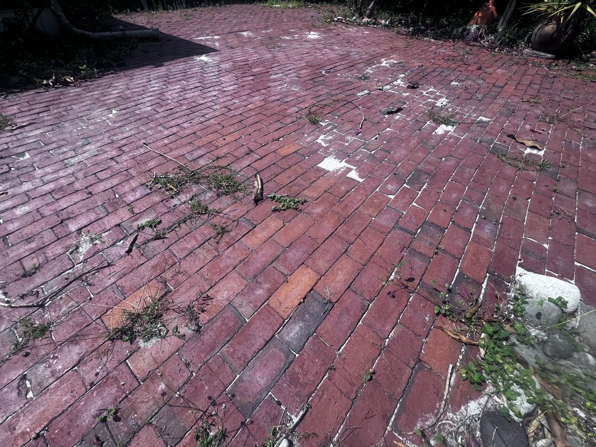 Faded red brick pavers with weeds and debris growing in the open joints in Naples, FL