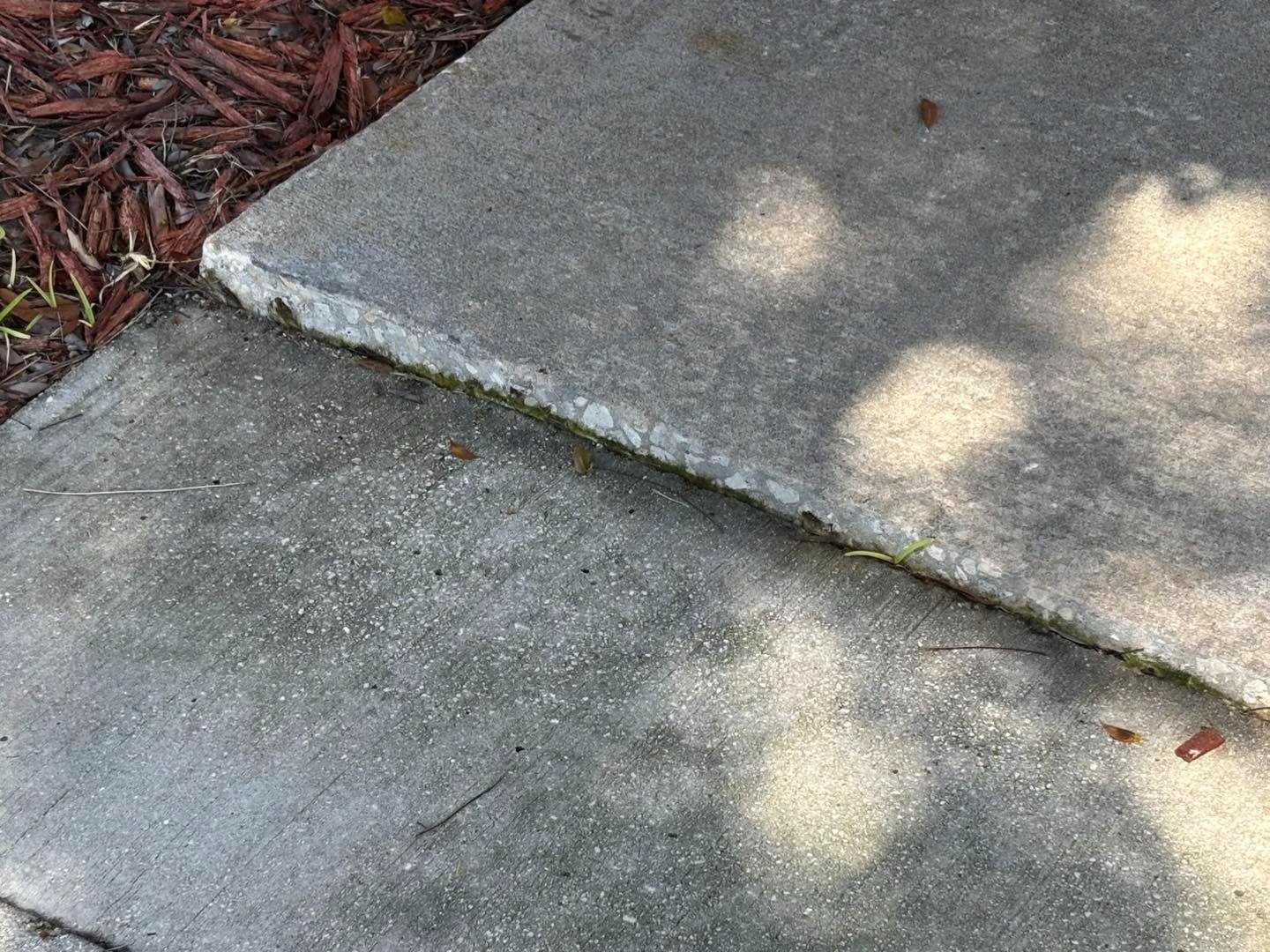 Close view of a concrete sidewalk joint with an uneven slab edge