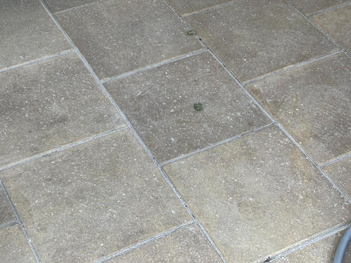 Close view of gray rectangular paving with pale joints
