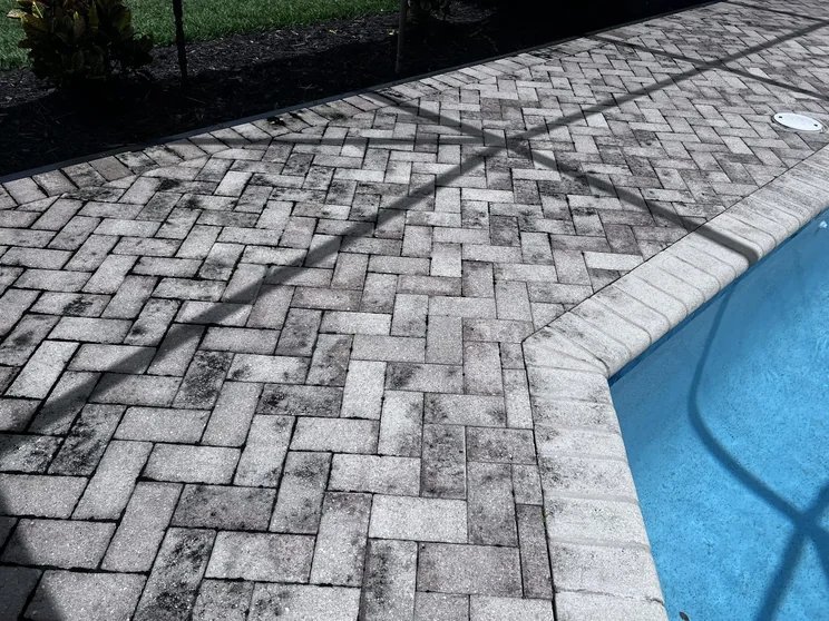 Faded pool deck pavers with black mildew and dark staining beside a pool in Fort Myers, FL, before cleaning and sealing