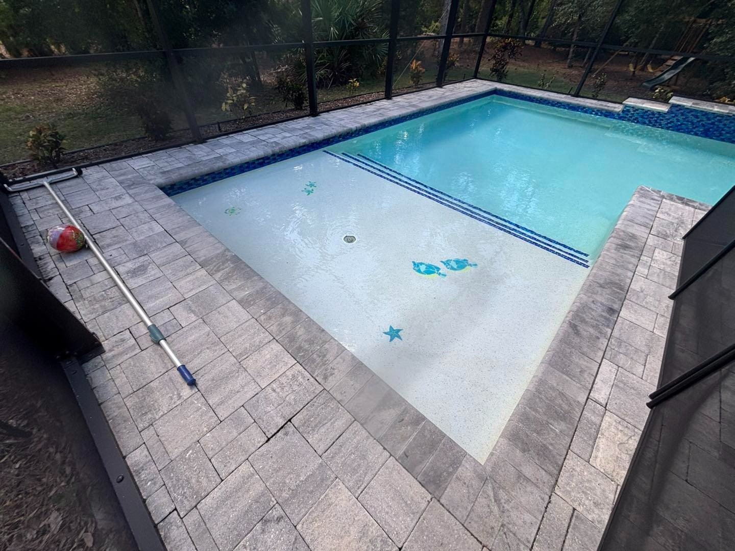 Rectangular swimming pool bordered by gray pavers inside a screened enclosure