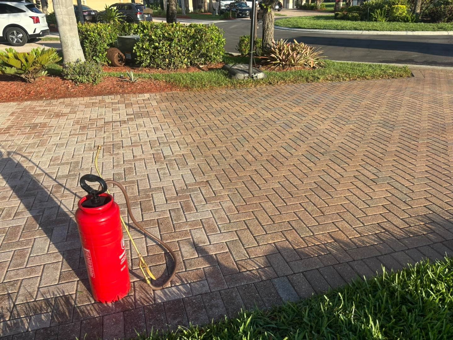 Red sprayer and hose on a herringbone paver driveway near planted beds