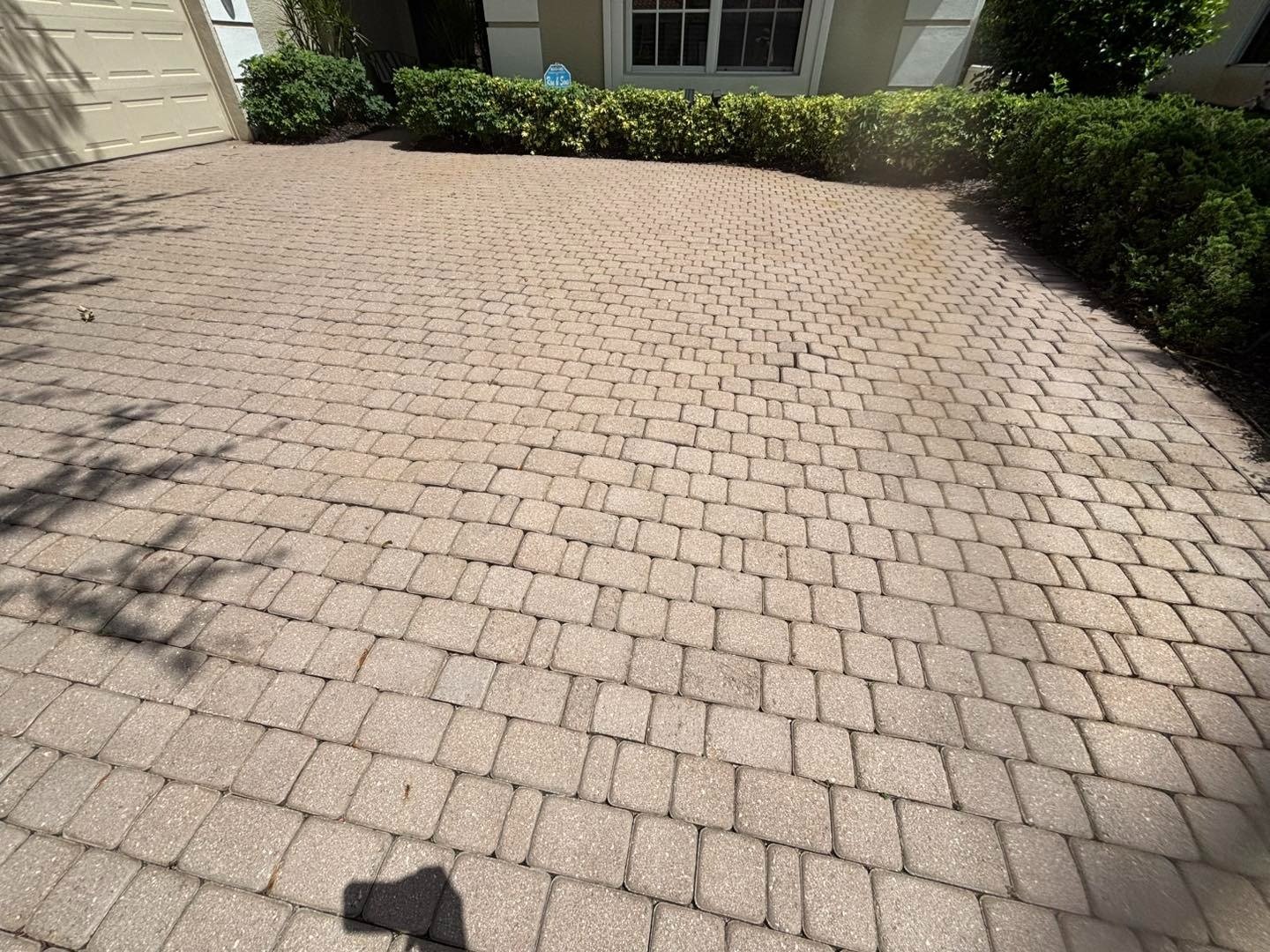 Tan rectangular driveway pavers curving toward shrubs and the front of a house