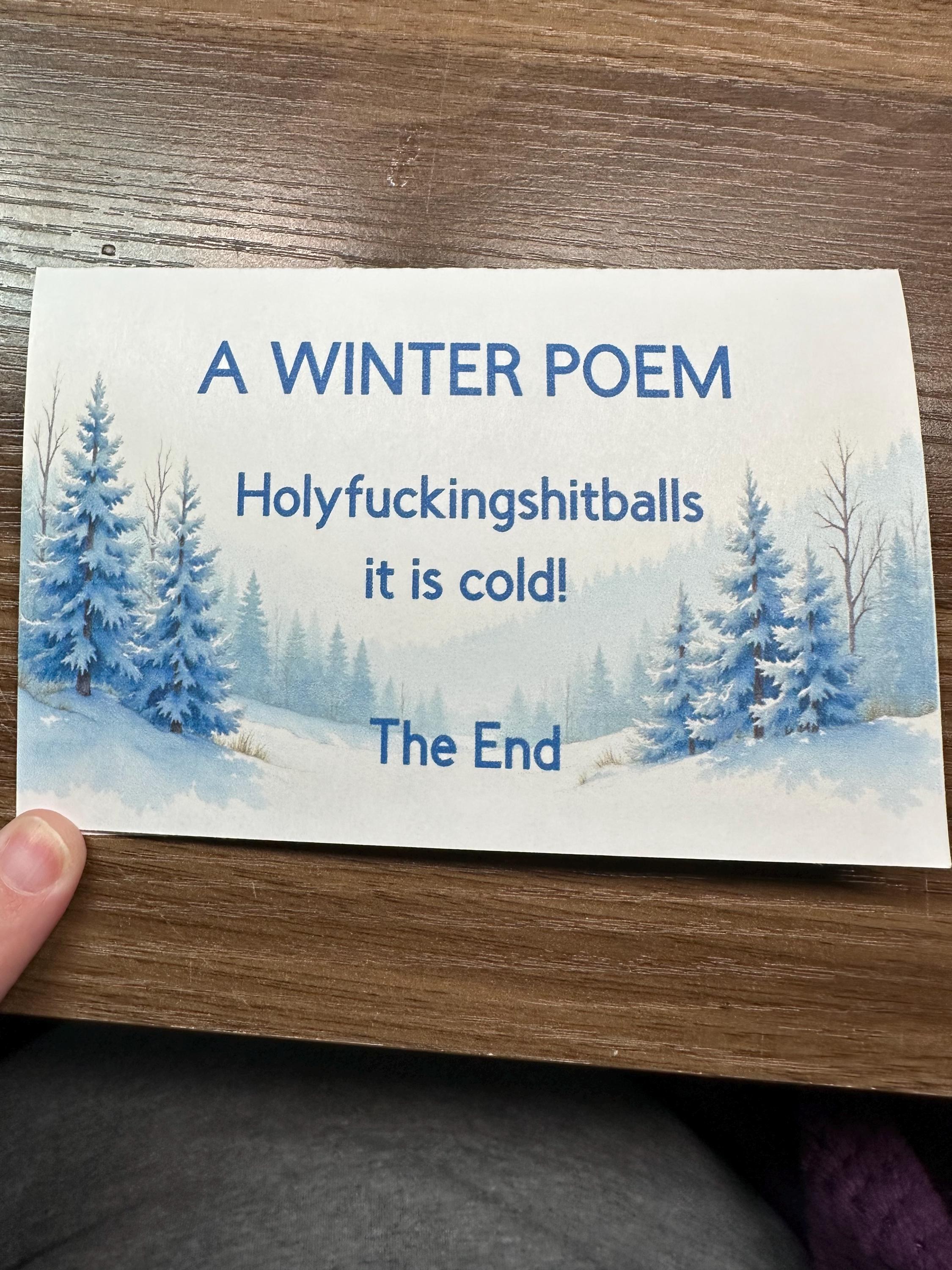 A Winter Poem... Funny Greeting Card