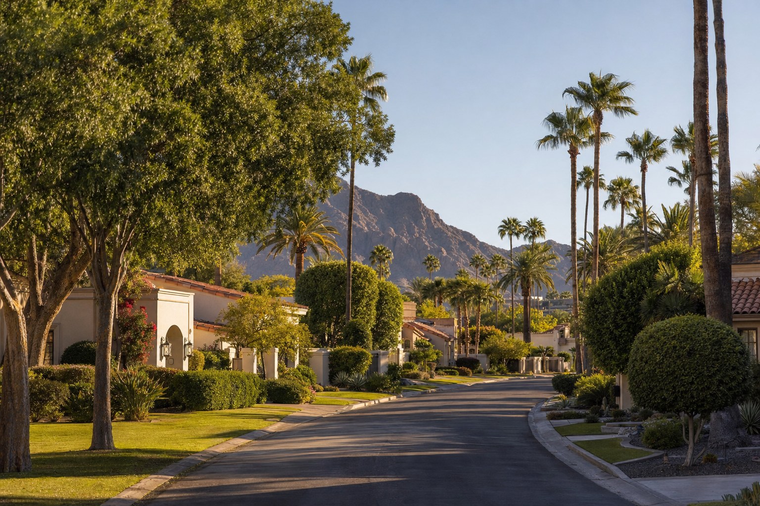 Scottsdale-inspired neighborhood with mature palms, homes and mountain views