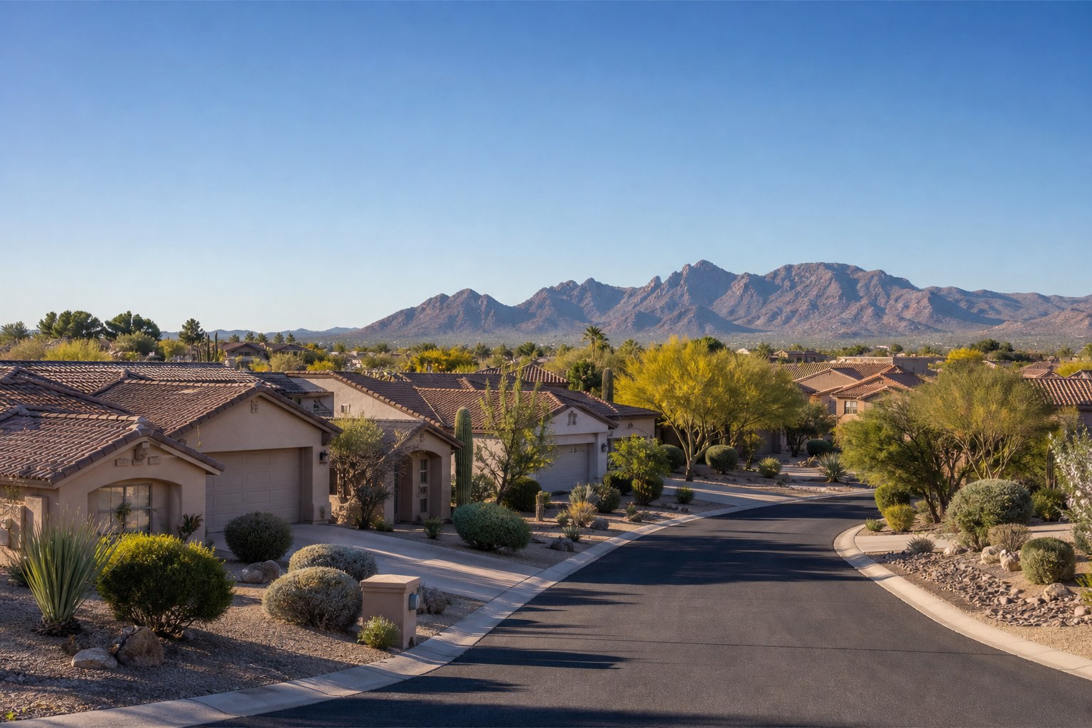Sunlit Arizona neighborhood with desert landscaping