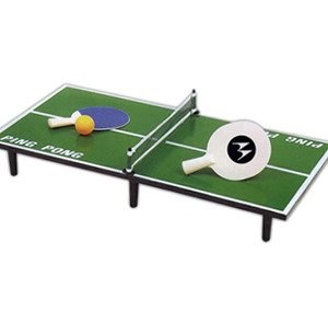 MINIATURE Ping Pong Table Game Set
