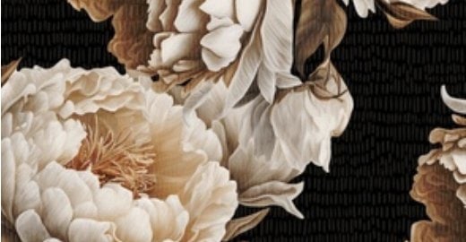 Large ivory peonies on a textured black ground