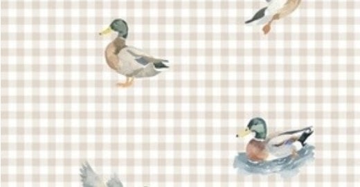 Watercolour mallard ducks on a warm neutral gingham ground