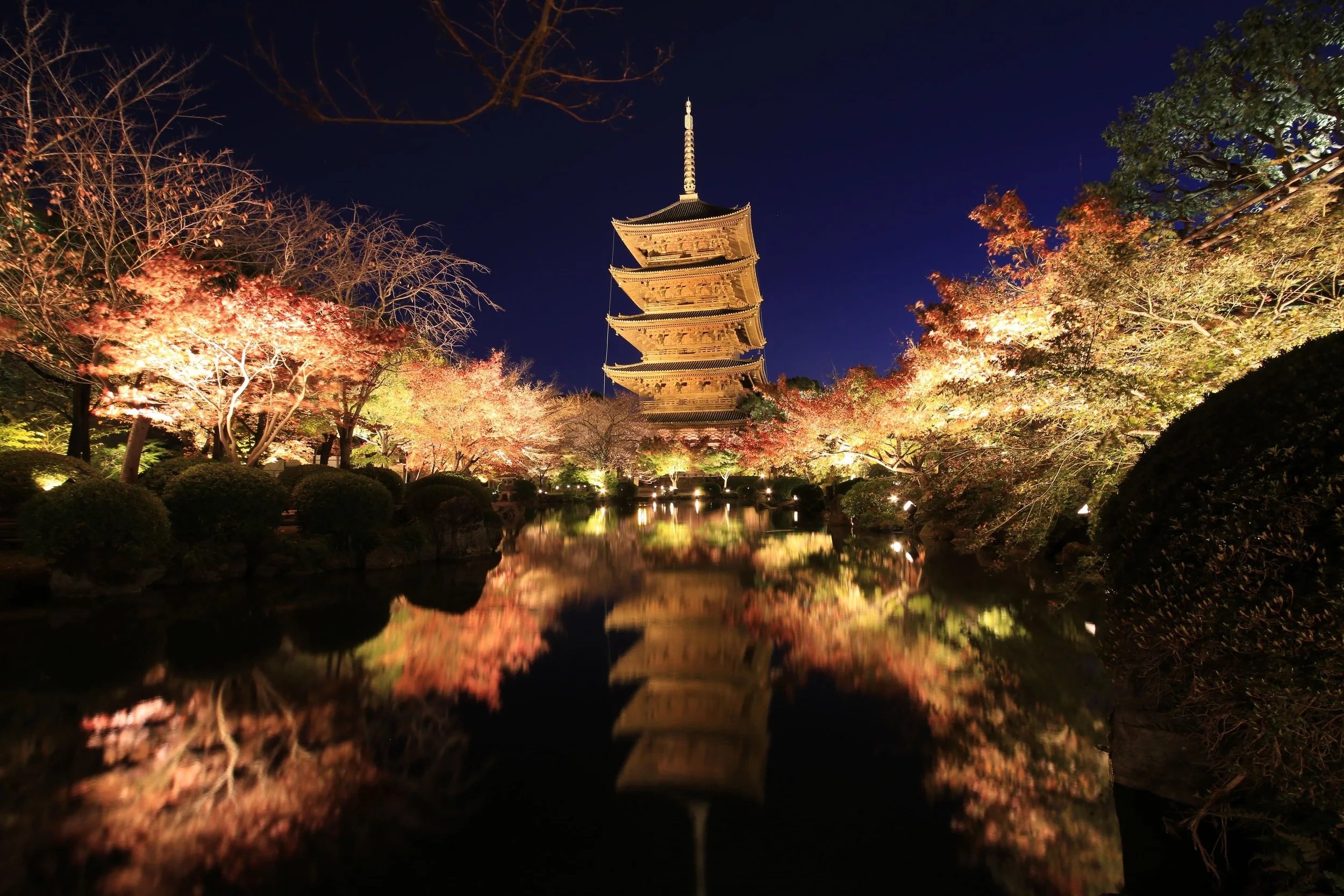 Touring Japan during cherry blossom season