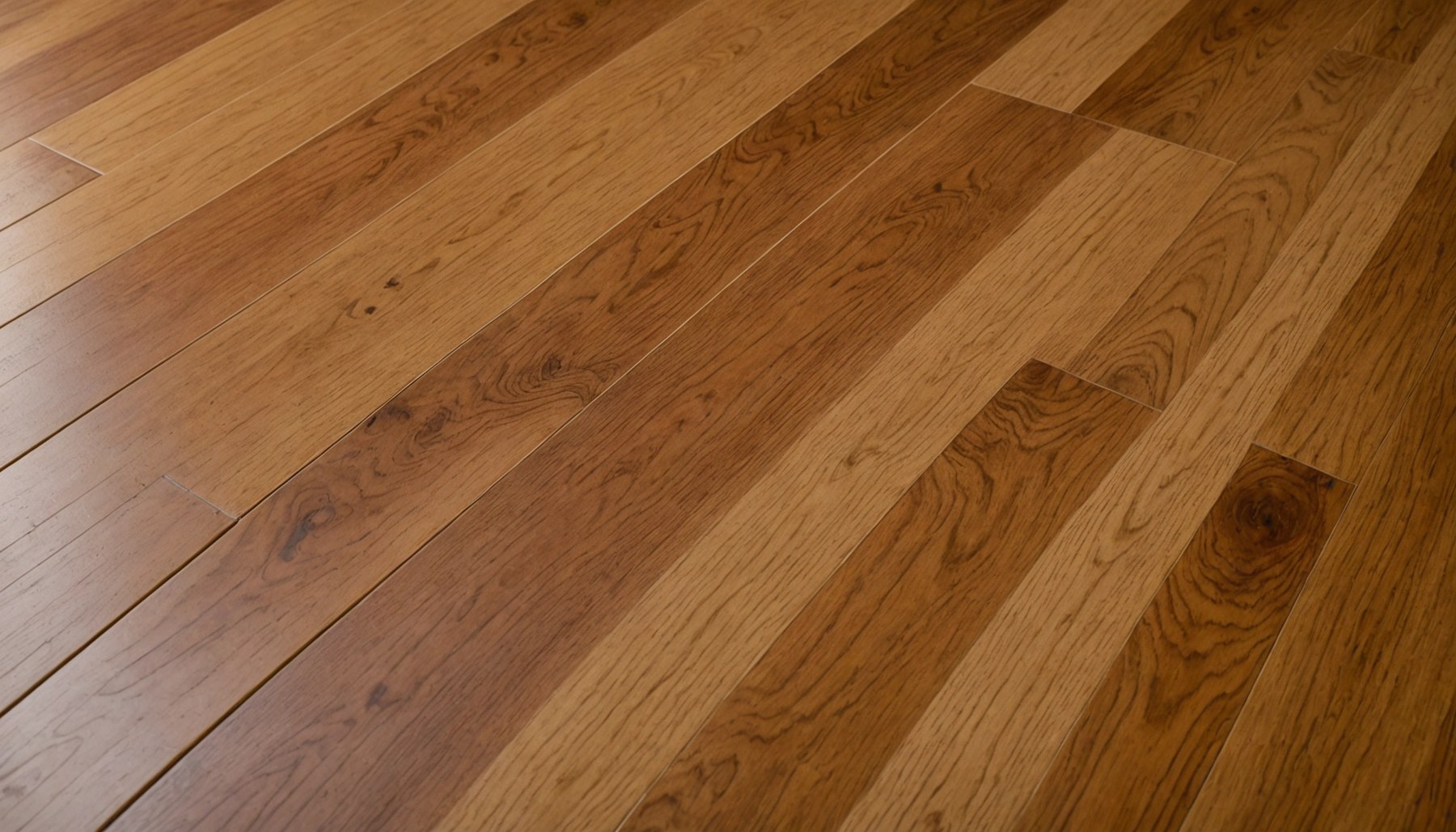 Refinished hardwood floor in a bright home