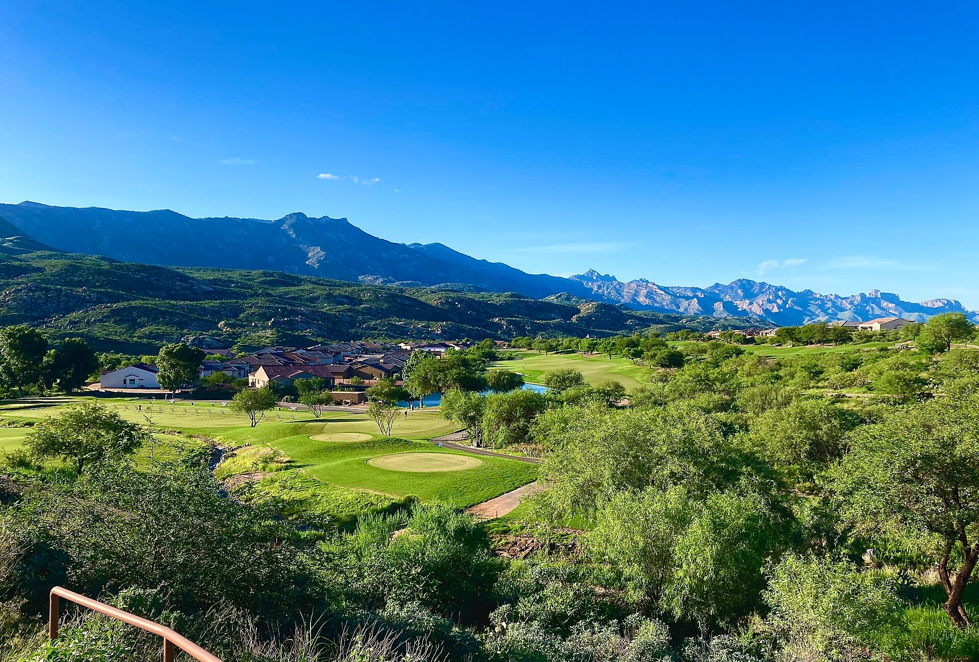 Golf practice area near a clubhouse in SaddleBrooke, another Arizona 55+ community (not Mission Royale)
