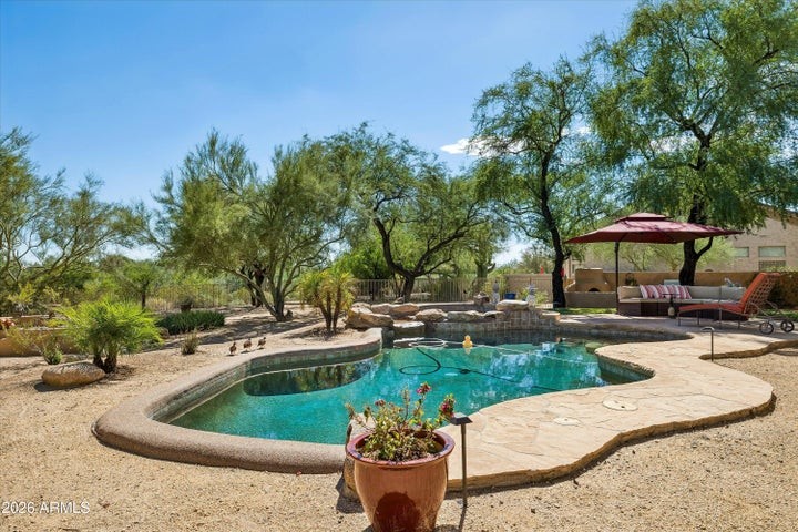 Pool and backyard at 29907 N 77th Pl