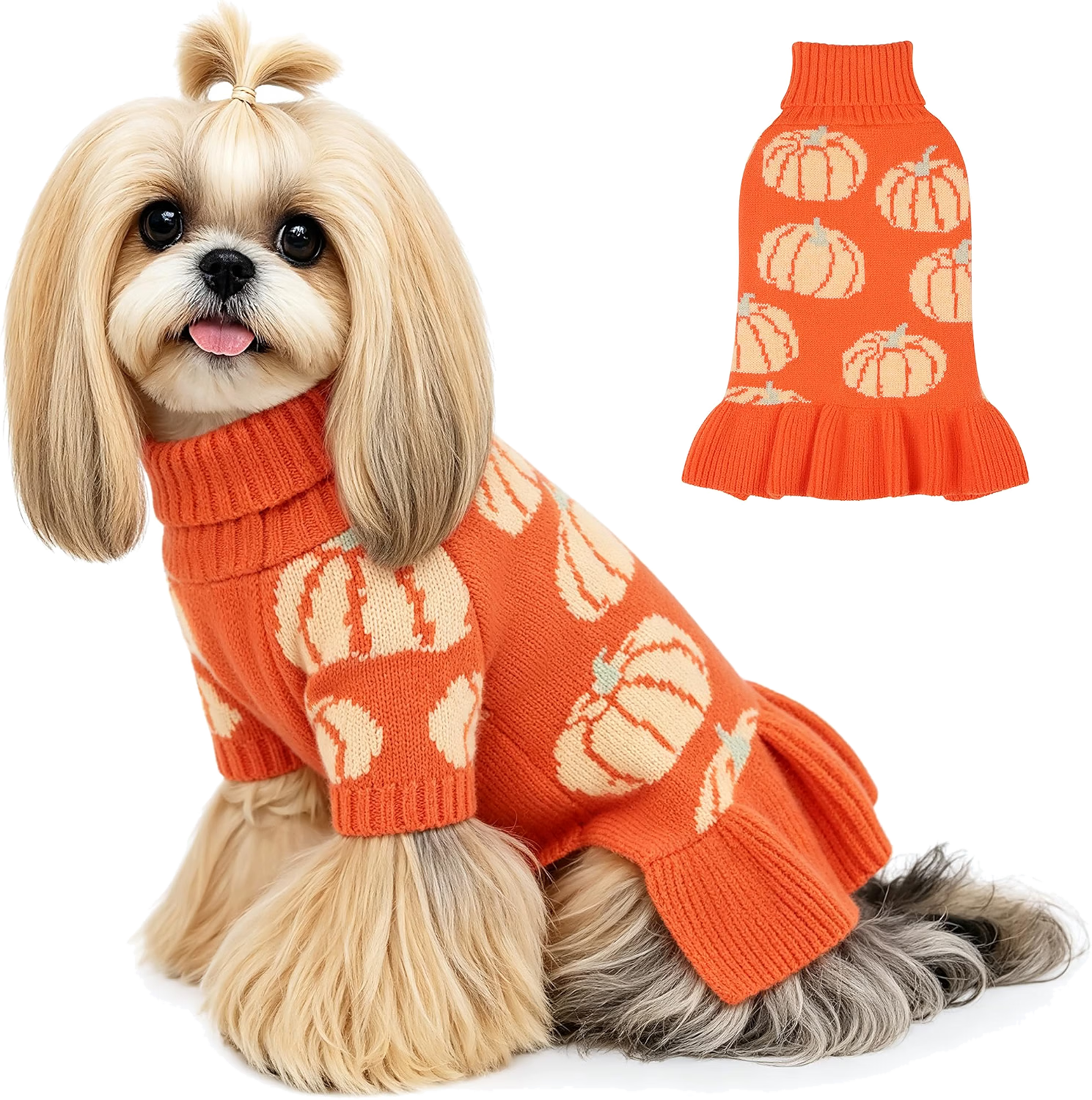 Dog wearing an orange pumpkin sweater beside the matching sweater