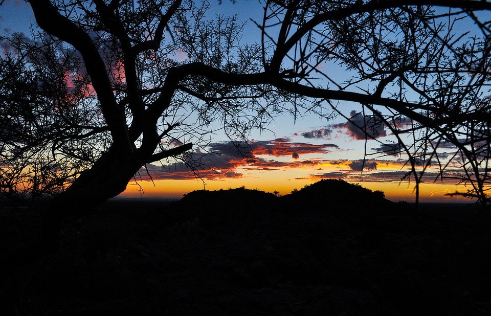 Desert sunset in Phoenix, Arizona