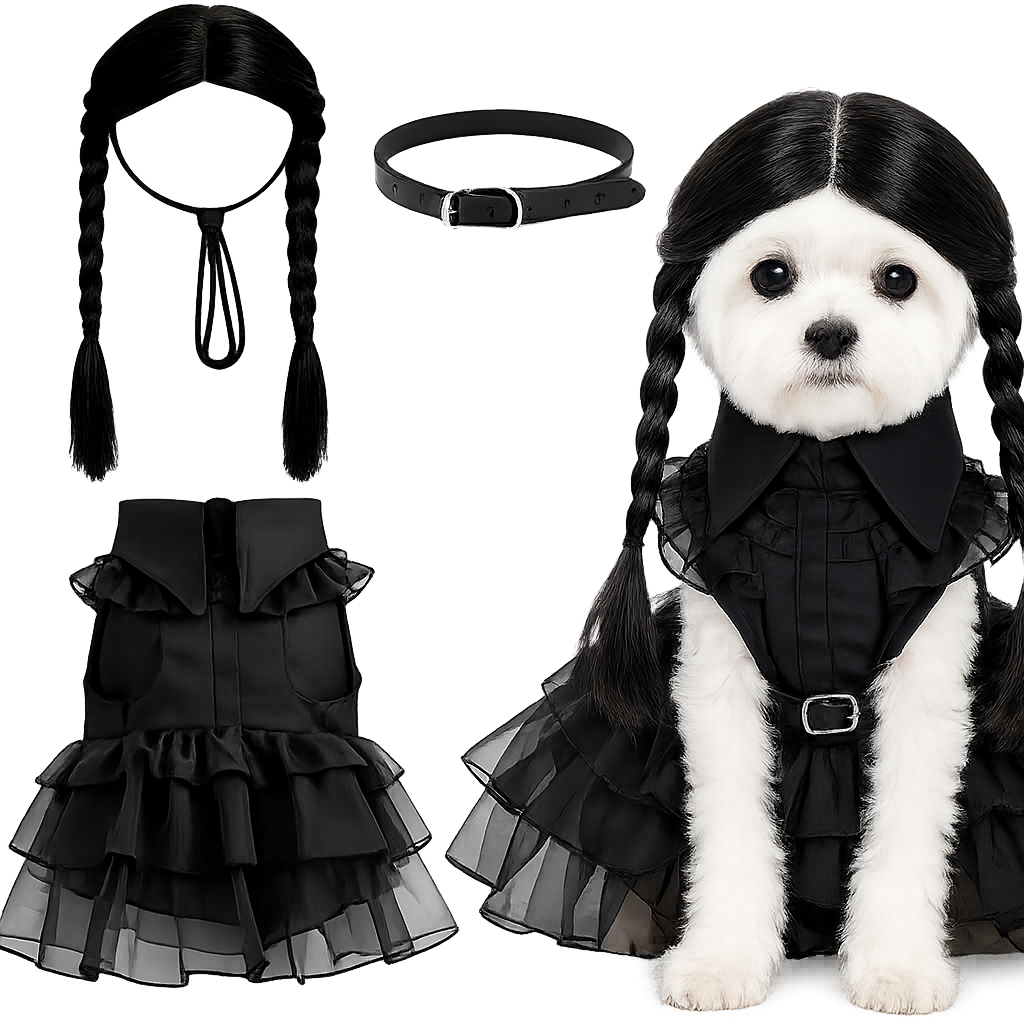Dog wearing a black costume with the matching costume pieces